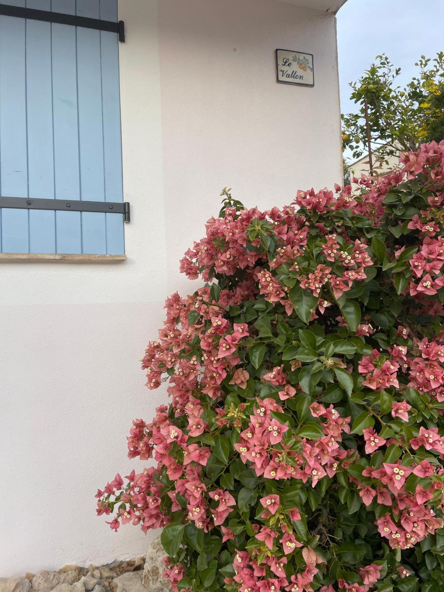 Luva D'azur, Rez De Le Riou - Le Vallon Apartment Le Bar-sur-Loup